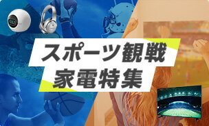 スポーツ観戦家電特集