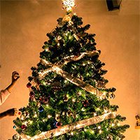 イベント時期しか使わないアイテム