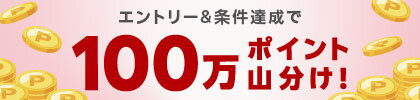 エントリー＆条件達成で100万ポイント山分け！