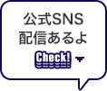 公式SNS配信もあるよ