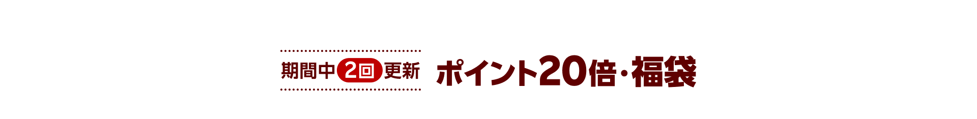 期間中2回更新 ポイント20倍・福袋