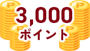 3,000ポイント