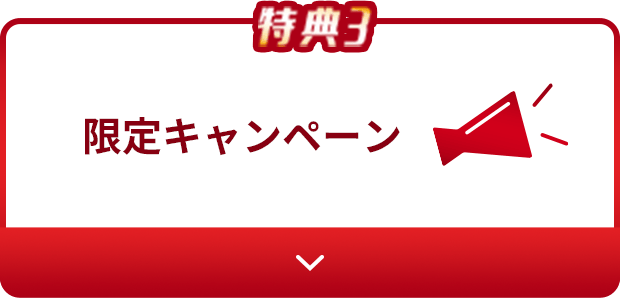 限定キャンペーン