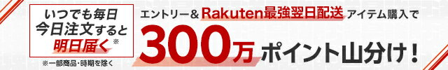 エントリー＆Rakuten最強翌日配送アイテム購入で300万ポイント山分け