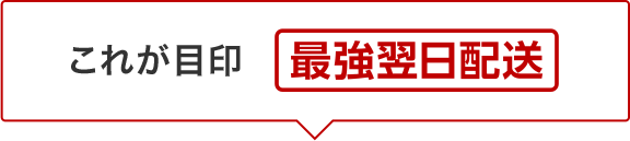 これが目印 最強翌日配送