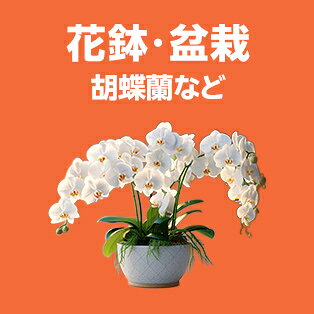 花鉢・盆栽ギフト