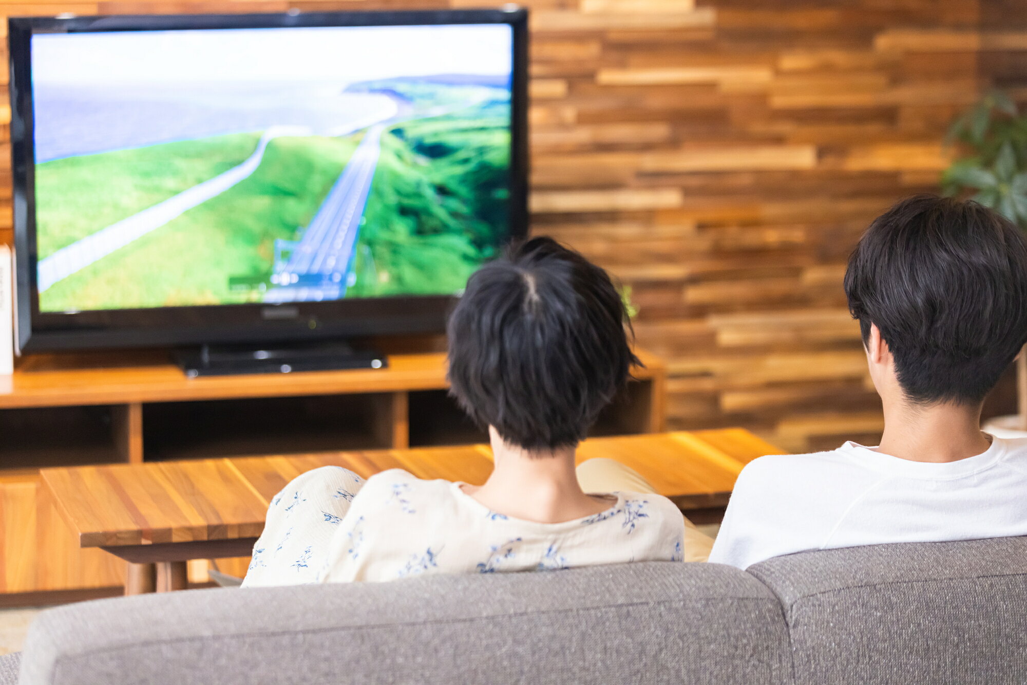 テレビ 安く なる 時期