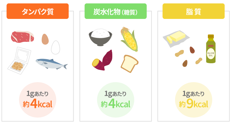 タンパク質:1gあたり約4kcal 炭水化物（糖質）:1gあたり約4kcal 脂質:1gあたり約9kcal