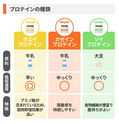 プロテインの種類