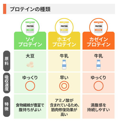 ホエイプロテイン・カゼインプロテインとの違いをチェック
