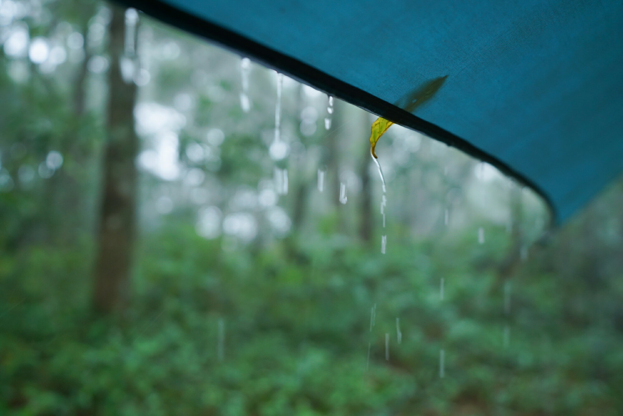 雨の日のキャンプの楽しみ方4つ