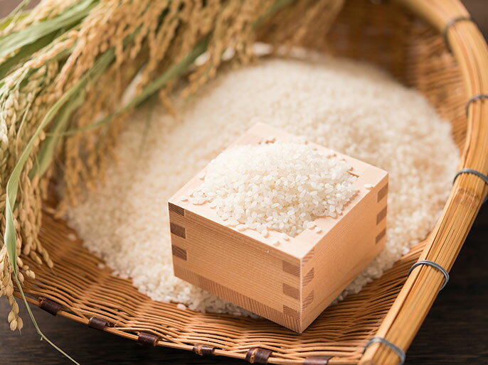 楽天市場】夜明け前（よあけまえ）｜日本酒市場｜人気銘柄の特徴や歴史