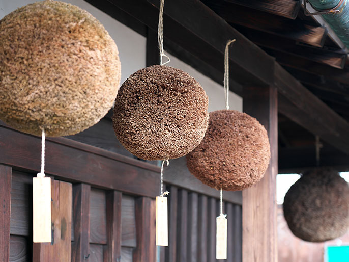 蒼空(そうくう)の方針