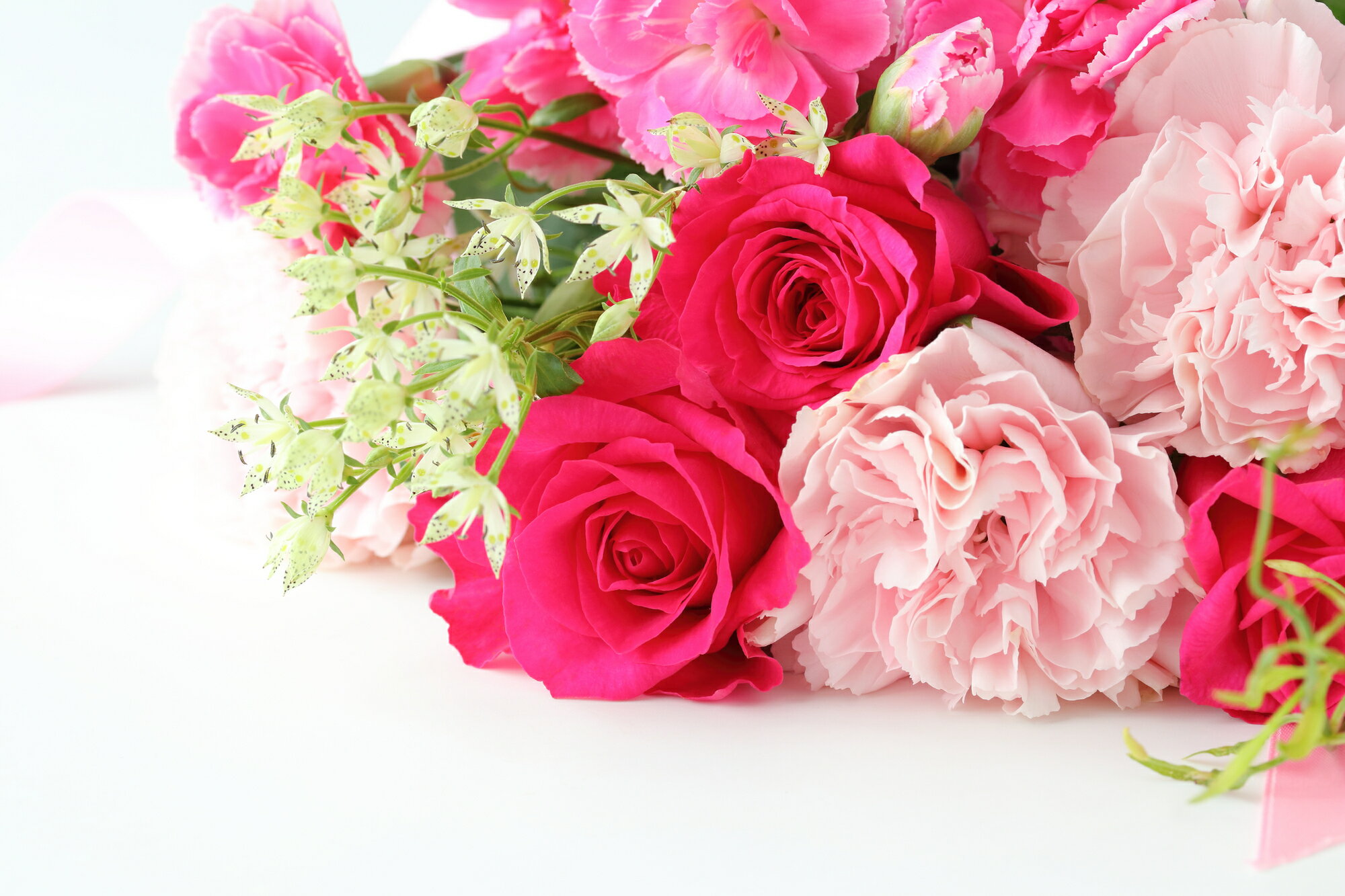 楽天市場 母の日に贈るお花とその花言葉 母の日ギフト プレゼント特集21