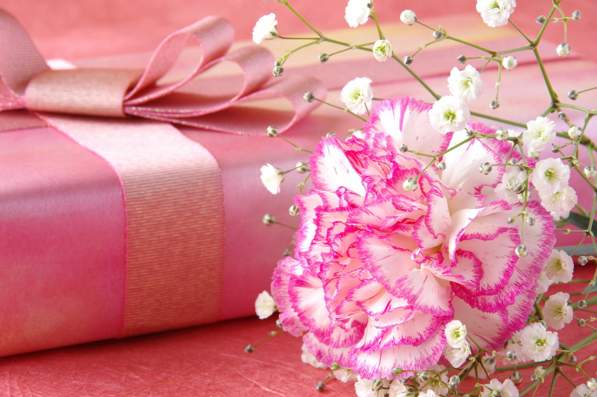 楽天市場 母の日ギフトの予算相場ってどのくらい 母の日ギフト プレゼント特集 楽天市場 母の日ギフトの予算相場ってどのくらい 母の日ギフト プレゼント特集