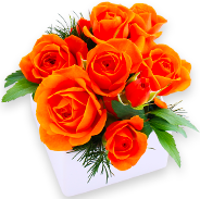 楽天市場 母の日ギフト プレゼント特集 人気のお花やランキング入りギフトなど 感謝を伝えるプレゼントが満載