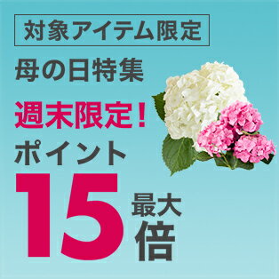 æ¥½å¤©å¸å ´ æ¯ã®æ¥ã®ãã ãã¬ã¼ã³ãç¹é2021 äººæ°ã®ãè±ãã©ã³ã­ã³ã°å¥ãã®ãããªã© æè¬ã'ä¼ãããã¬ã¼ã³ããæºè¼