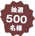 抽選500名様