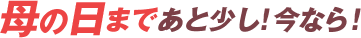 母の日まであと少し！今なら！