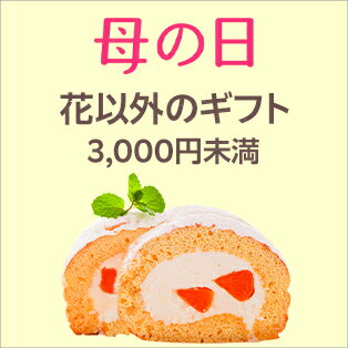 スイーツ・グルメ・ファッションなどのギフト3,000円未満