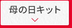 母の日キット