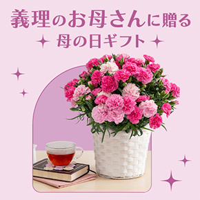 義理のお母さんに贈る母の日ギフト
