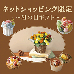 ネットショッピング限定母の日ギフト