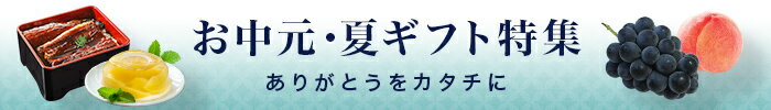 お中元・夏ギフト特集