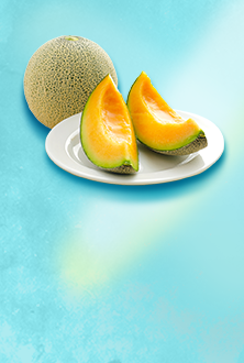 メロンギフト｜楽天市場 お中元・夏ギフト特集