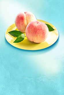 桃ギフト｜楽天市場 お中元・夏ギフト特集