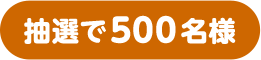 抽選で500名様