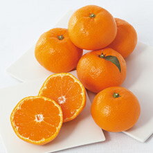 おいしさ旬・鮮・便