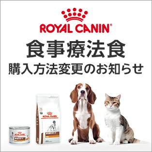 食事療法食