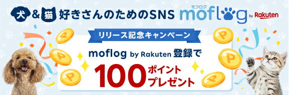 犬＆猫好きのためのSNS mofllog登録で100ポイントプレゼント