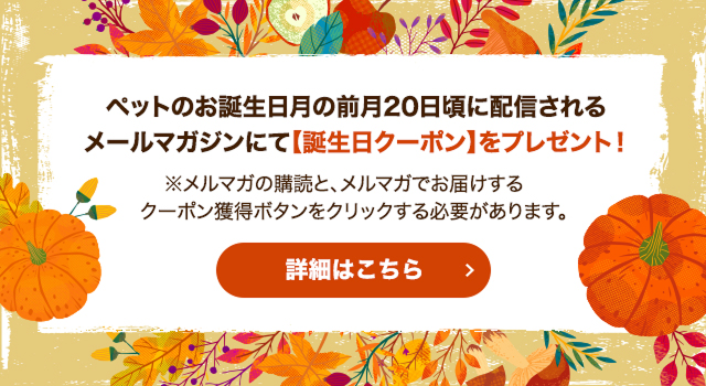 バースデークーポン