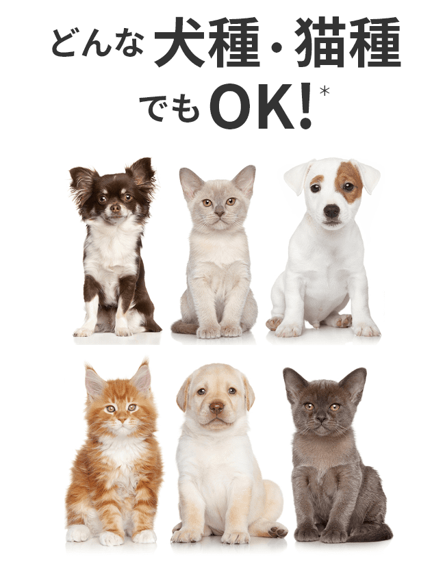 どんな犬種・猫種でもOK