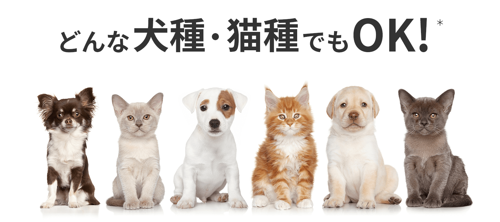 どんな犬種・猫種でもOK