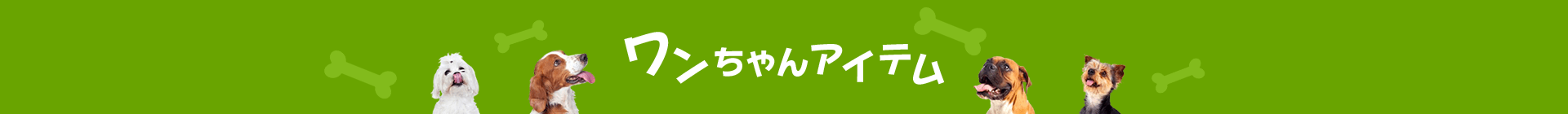 ショップおすすめのワンちゃんアイテム