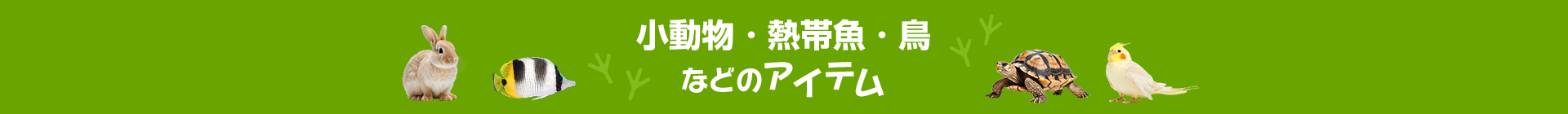 ショップおすすめの小動物・熱帯魚・鳥などのアイテム