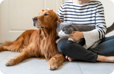 保護プログラムイメージ