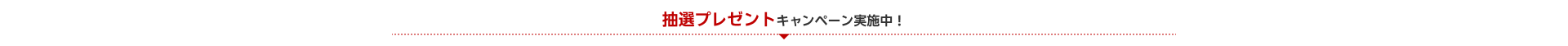 キャンペーン実施中！