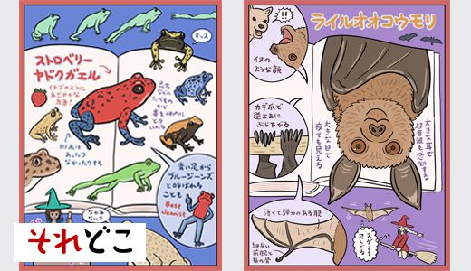 1万円で地球上の森羅万象が学べる『図鑑』を徹底解説