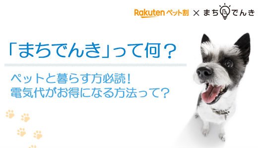 ペットと暮らす家庭の電気代がお得になるまちでんきとは？
