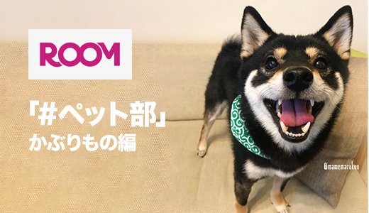 「ペット部」かわいいんです。かぶりもの編