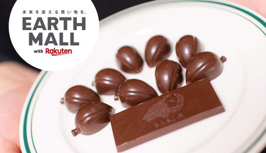 「カカオ豆から手作りチョコレートキット」のチョコづくり奮闘記