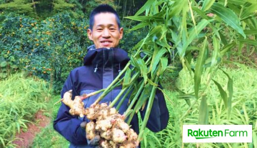 海と空広がる高知県から「生きている生姜」を届けたい