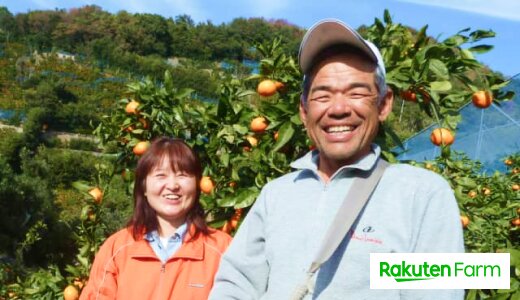 匠が作る！とろける口どけとコクが自慢の「有田みかん」