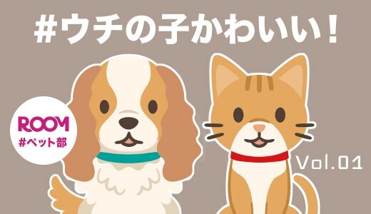 #ウチの子かわいい！ROOM#ペット部