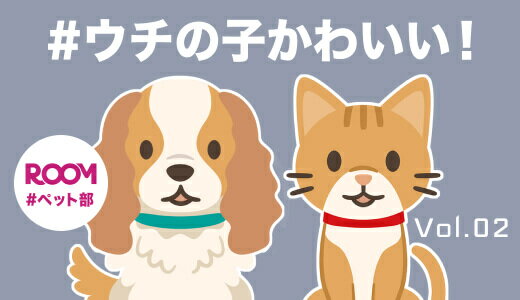 #ウチの子かわいい!ROOM#ペット部
