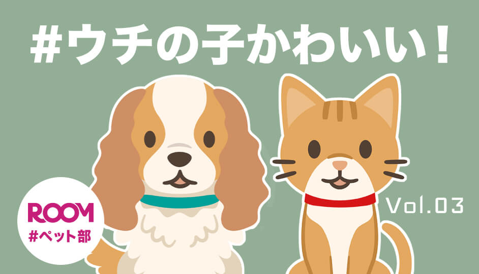 #ウチの子かわいい！ROOM#ペット部